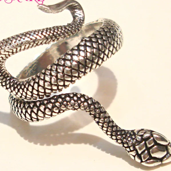 Retro European New Retro Punk Exaggerated Spirit Snake Ring Fashion Personality Stereoscopic Opening Adjustable Ring Jewelry
Retro European New Retro Punk Exaggerated Spirit Snake Ring Fashion Personality Stereoscopic Opening Adjustable Ring Jewelry