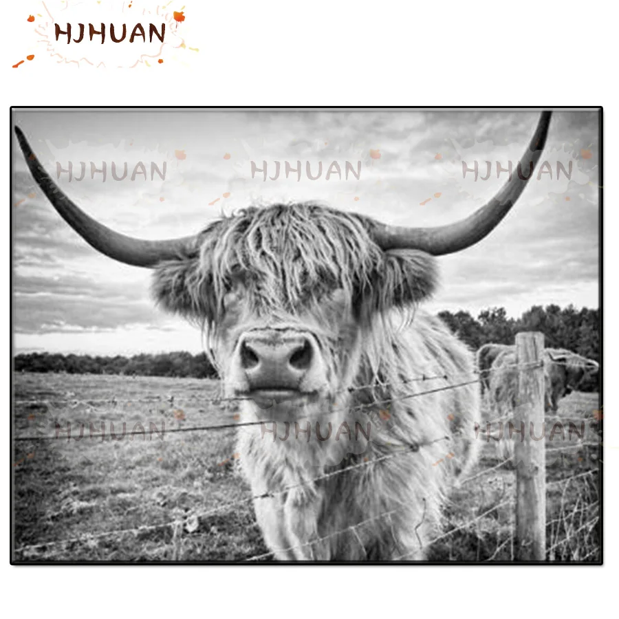 Набор для алмазной вышивки Стразы, черно-белое изображение животных, голландский горный хром, крупный рогатого скота 
Набор для алмазной вышивки Стразы, черно-белое изображение животных, голландский горный хром, крупный рогатого скота