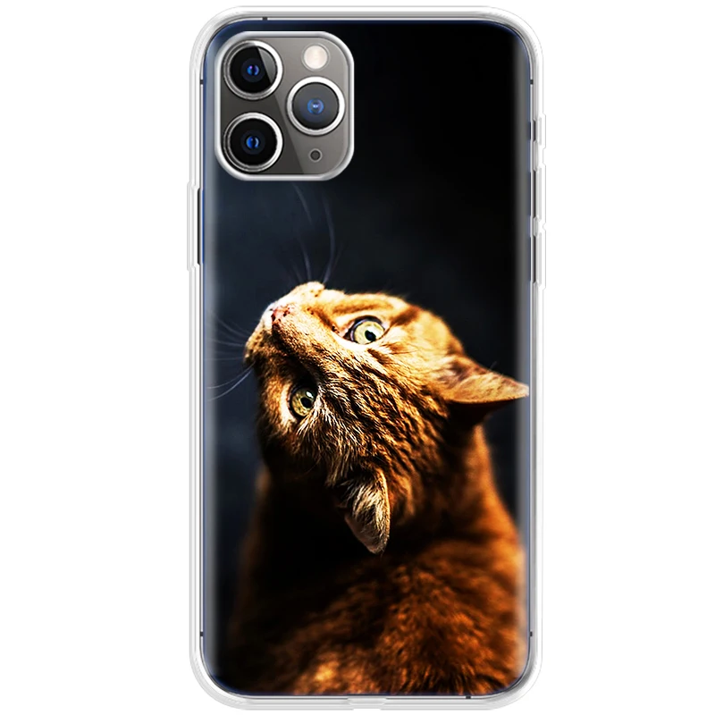 Colorful cat Soft Case For Apple iPhone 11 Pro max Case For iphone 12 Mini SE 2020 Case 7 8 5S 6 6S Plus X XR XS MAX Back Cover
Colorful cat Soft Case For Apple iPhone 11 Pro max Case For iphone 12 Mini SE 2020 Case 7 8 5S 6 6S Plus X XR XS MAX Back Cover