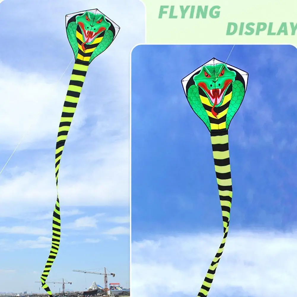 Large Snake Kite Kite With Handle Line Outdoor Toys For Adult Bird Eagle Kite Animal Weifang Kite
Large Snake Kite Kite With Handle Line Outdoor Toys For Adult Bird Eagle Kite Animal Weifang Kite