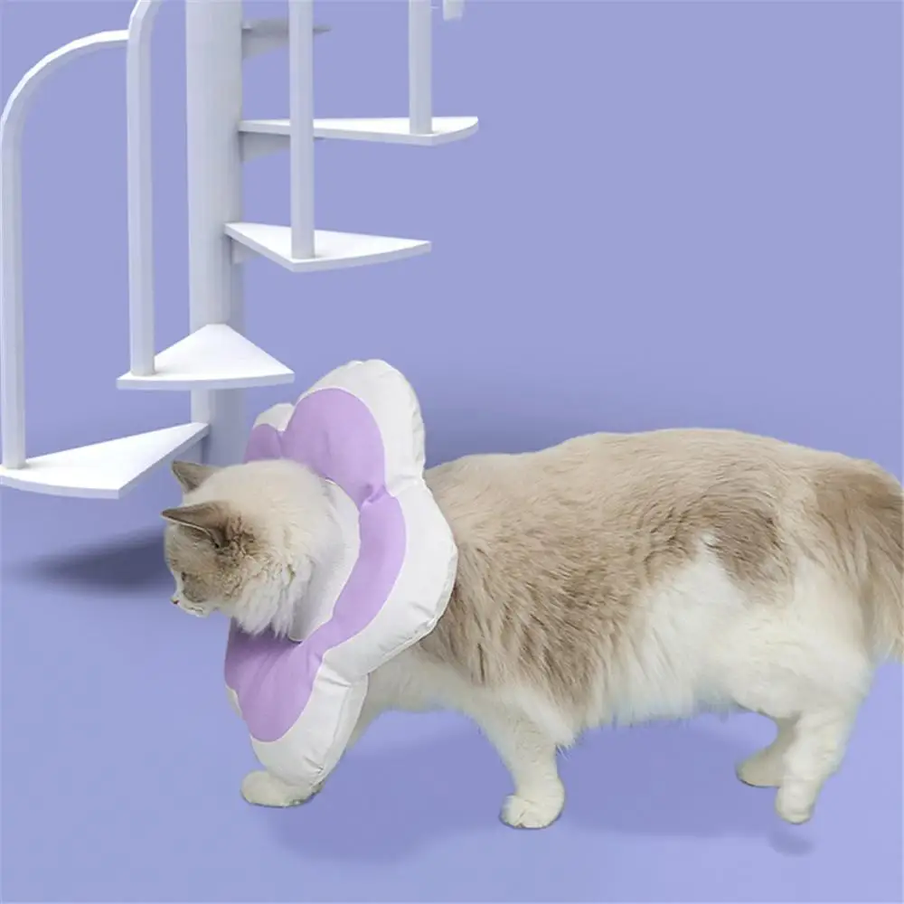 Petals Cat Collar Yellow Purple Pink Cute Flower Cat Elizabeth Collar Prevents Licking Wounds Softness Does Not Hurt Neck
Petals Cat Collar Yellow Purple Pink Cute Flower Cat Elizabeth Collar Prevents Licking Wounds Softness Does Not Hurt Neck