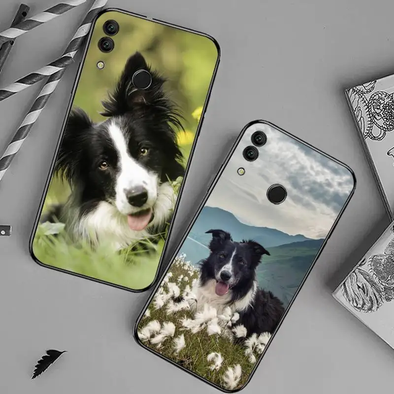 Border Collie Dog Breed Phone Case For Huawei honor Mate 10 20 30 40 i 9 8 pro x Lite P smart 2019 nova 5t
Border Collie Dog Breed Phone Case For Huawei honor Mate 10 20 30 40 i 9 8 pro x Lite P smart 2019 nova 5t