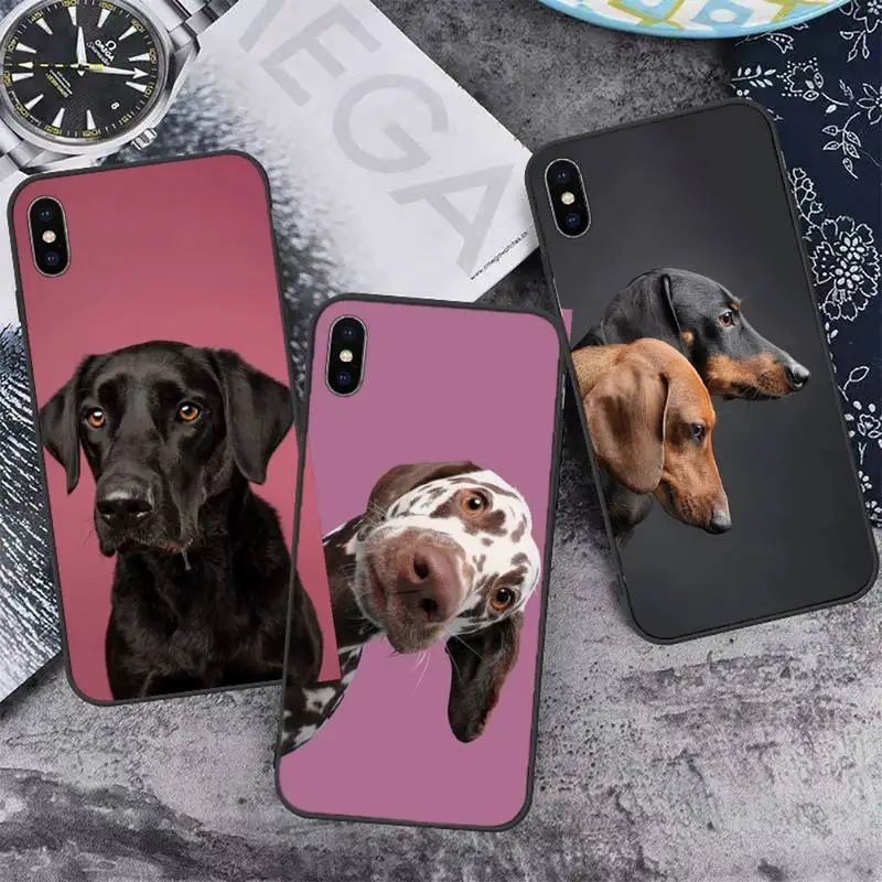 Cute Dachshund dog Phone Case for iPhone 11 12 pro XS MAX 8 7 6 6S Plus X 5S SE 2020 XR mini
Cute Dachshund dog Phone Case for iPhone 11 12 pro XS MAX 8 7 6 6S Plus X 5S SE 2020 XR mini