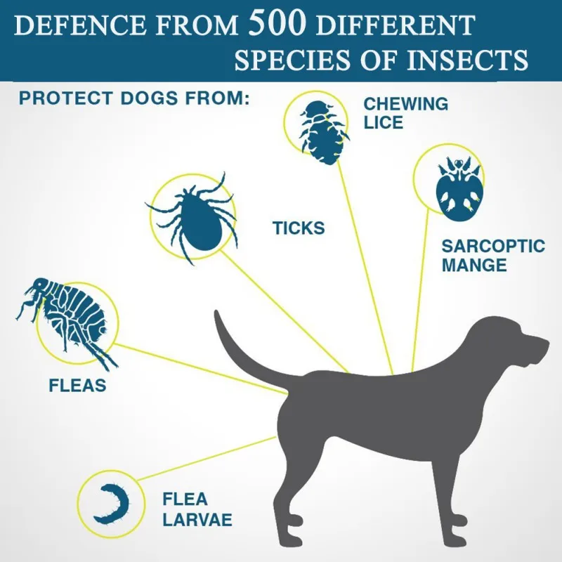Pets Dog Cat Adjustable Anti-parasites Collars Mite Protection Collar Fleas Ticks Forceps mosquito Control Reject Summer
Pets Dog Cat Adjustable Anti-parasites Collars Mite Protection Collar Fleas Ticks Forceps mosquito Control Reject Summer