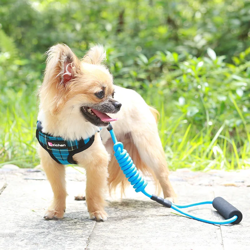 Plaid Dog Cat Harness Vest Pomeranian French Bulldog Harness Puppy Small Medium Dogs Cats Leash Harnesses For Chihuahua Walking
Plaid Dog Cat Harness Vest Pomeranian French Bulldog Harness Puppy Small Medium Dogs Cats Leash Harnesses For Chihuahua Walking