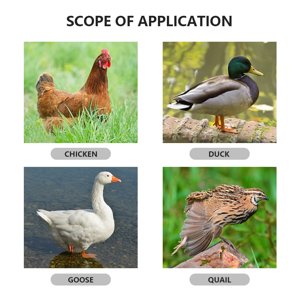 Pet Products
Pet Products