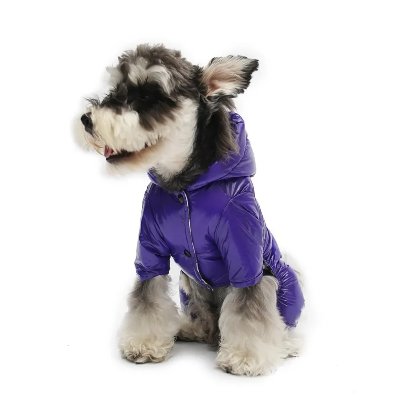 Простые товары для собак для домашних животных зимой в Европе и Америке 
Простые товары для собак для домашних животных зимой в Европе и Америке