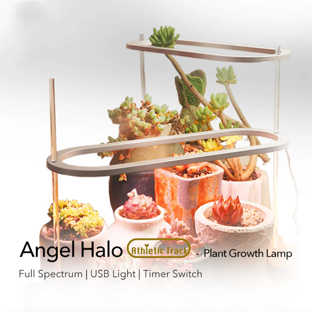 New LED Grow Light With Timer Switch Full Spectrum 8/12/16Hours Phyto Plant Lamp For Greenhouse Succulents Carnivorous Plants
New LED Grow Light With Timer Switch Full Spectrum 8/12/16Hours Phyto Plant Lamp For Greenhouse Succulents Carnivorous Plants