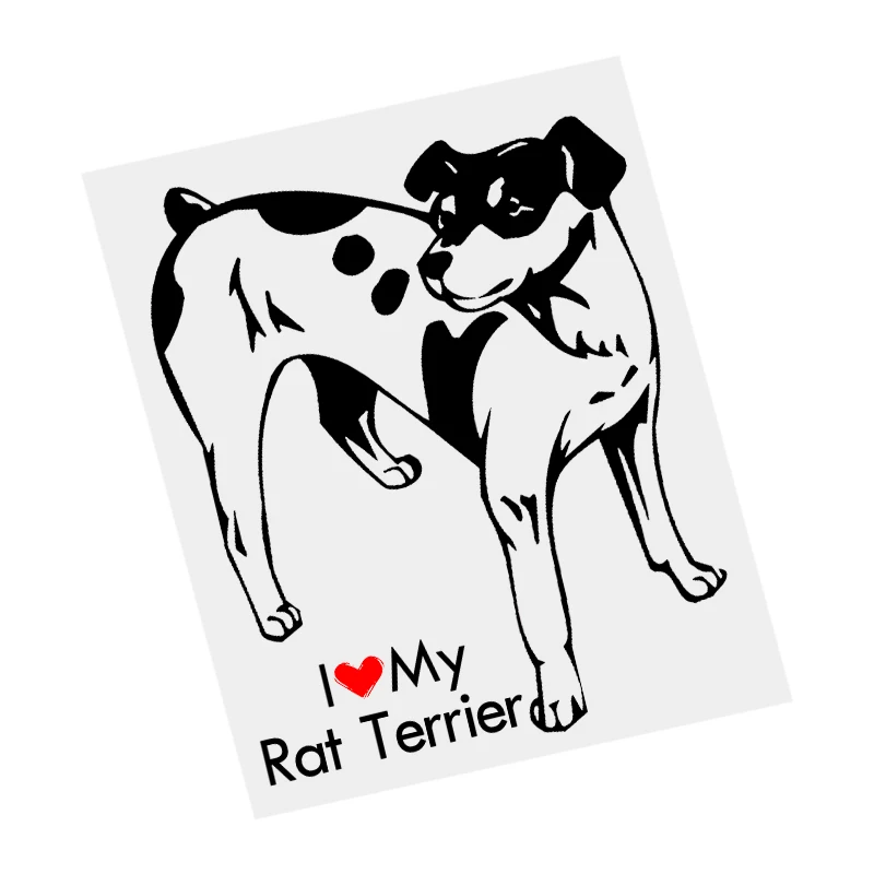 S61687# Rat Terrier Dog Black Transparent Car Sticker Vinyl Decal Waterproof Decors for Motorcycle Bumper Laptop
S61687# Rat Terrier Dog Black Transparent Car Sticker Vinyl Decal Waterproof Decors for Motorcycle Bumper Laptop