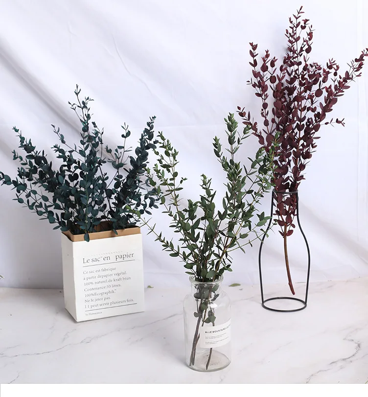 80g/Bundle Real Dried Natural Fresh Forever Preserved Fine Leaf Eucalyptus Branch, Eternal Leaves Eucalyptus For home decor
80g/Bundle Real Dried Natural Fresh Forever Preserved Fine Leaf Eucalyptus Branch, Eternal Leaves Eucalyptus For home decor