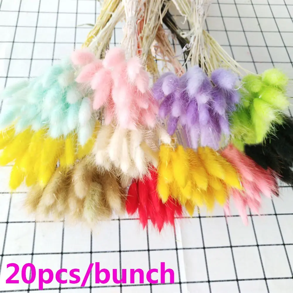 20pcs Natural Dried Flowers White Artificial Flowers Colorful Fake Rabbit Tail Grass Bouquet Long Bunches
20pcs Natural Dried Flowers White Artificial Flowers Colorful Fake Rabbit Tail Grass Bouquet Long Bunches