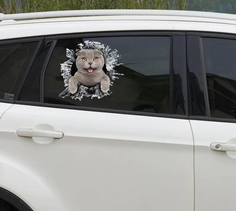 2021 Scottish fold window sticker, car sticker, scottish fold car decal, funny decal
2021 Scottish fold window sticker, car sticker, scottish fold car decal, funny decal