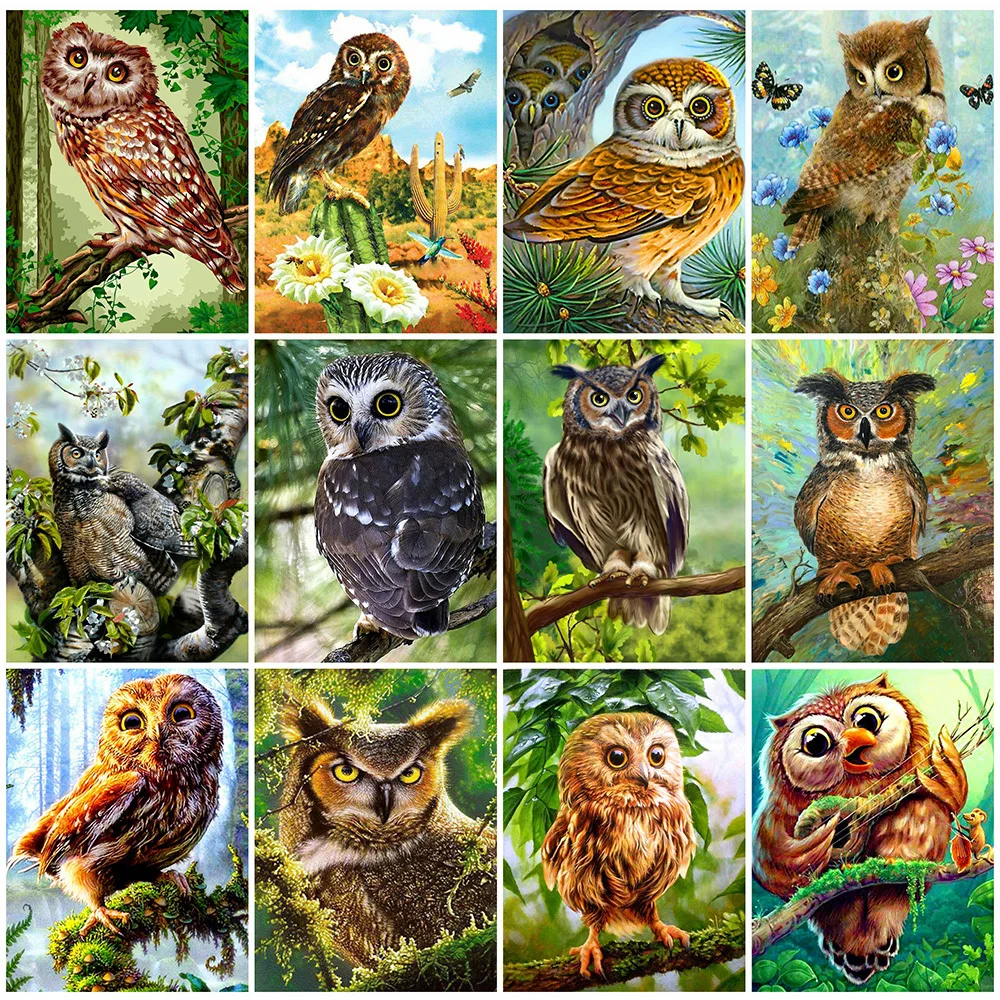 EverShine Full Square Diamond Painting Owl Diamond Mosaic Animal Picture Embroidery Bird Rhinestones Picture Home Decor
EverShine Full Square Diamond Painting Owl Diamond Mosaic Animal Picture Embroidery Bird Rhinestones Picture Home Decor