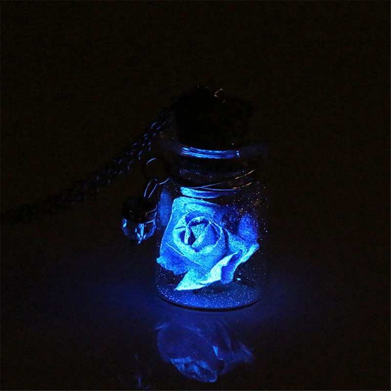 Drift Bottle Dried Flower Pendant Necklace Creative Luminous Rose Crystal Glass Vial Pendant Necklace
Drift Bottle Dried Flower Pendant Necklace Creative Luminous Rose Crystal Glass Vial Pendant Necklace