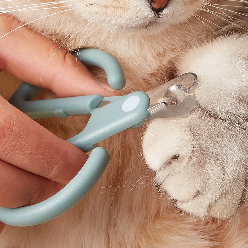 Cat and dog nail clippers, stainless steel nail scissors, safety nail scissors, nail scissors
Cat and dog nail clippers, stainless steel nail scissors, safety nail scissors, nail scissors