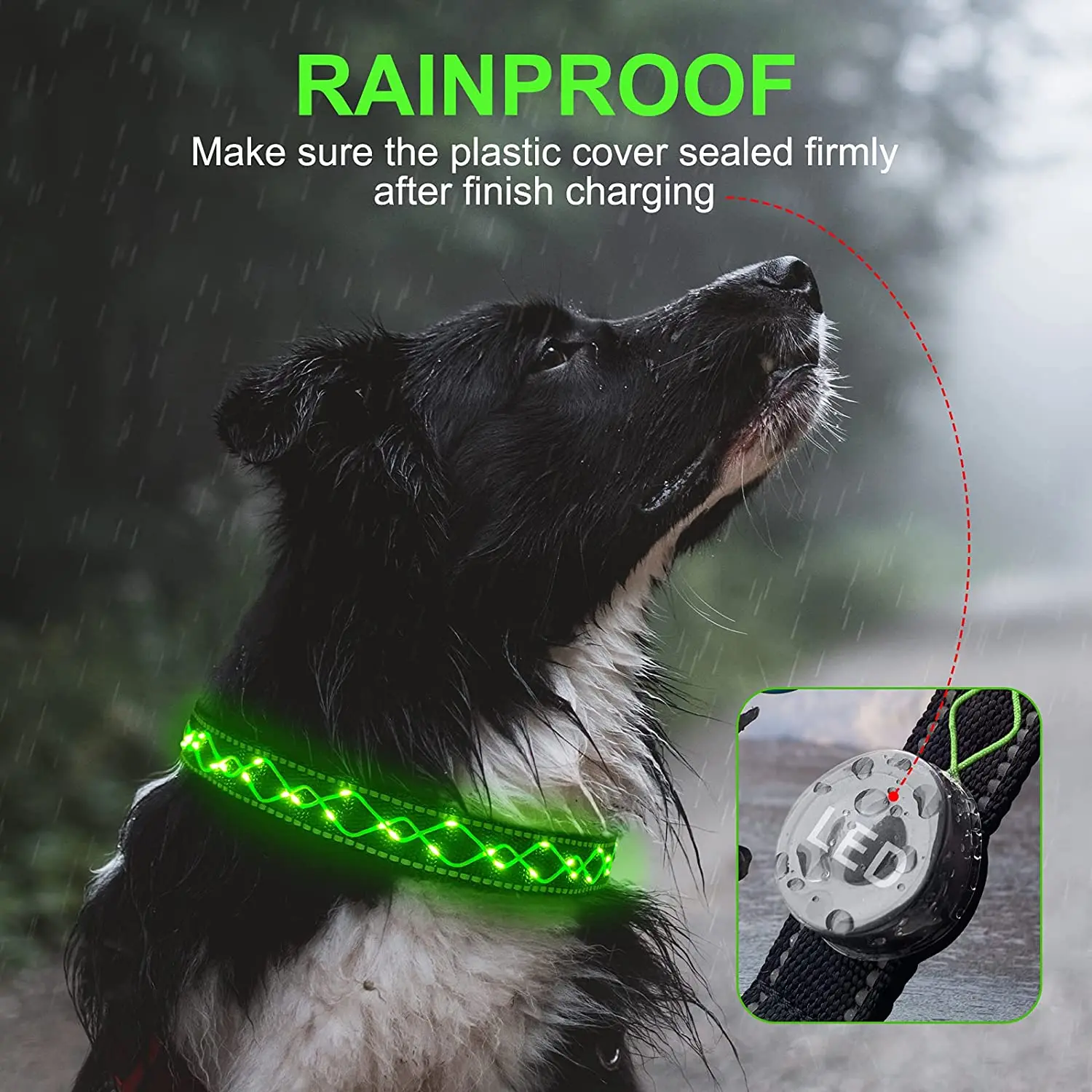 LED Dog Collar USB Rechargeable Embroidered Cord Glowing Dog Collar Light Night Safety Luminous Pet Necklace Luz Led Accessories
LED Dog Collar USB Rechargeable Embroidered Cord Glowing Dog Collar Light Night Safety Luminous Pet Necklace Luz Led Accessories