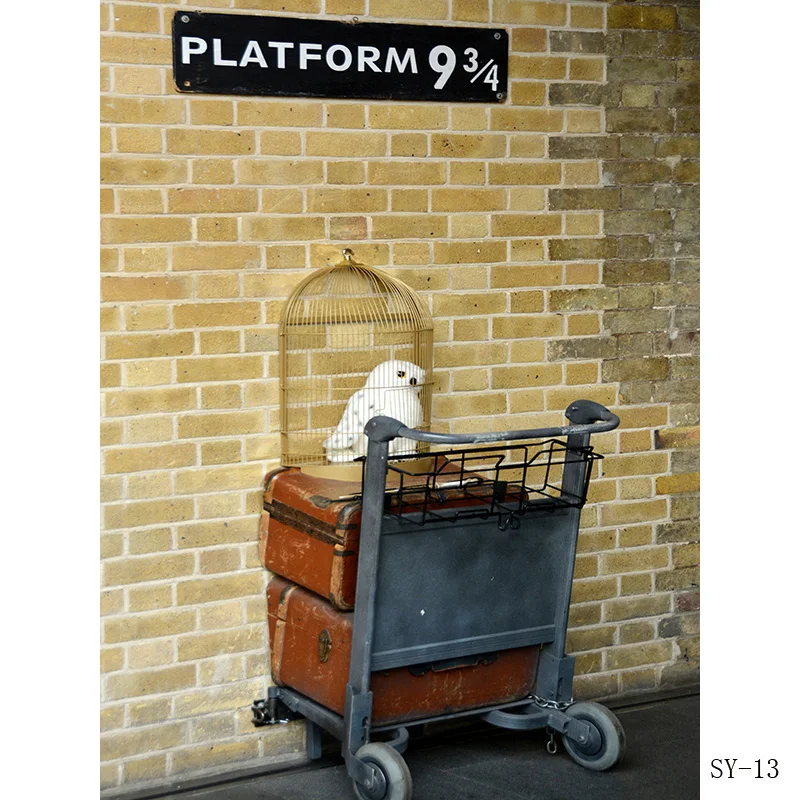 ZHISUXI Vinyl Heaven Brick Wall Photography Backdrop Platform 9 3/4 railway Station Photo Studio Background SS-12
ZHISUXI Vinyl Heaven Brick Wall Photography Backdrop Platform 9 3/4 railway Station Photo Studio Background SS-12