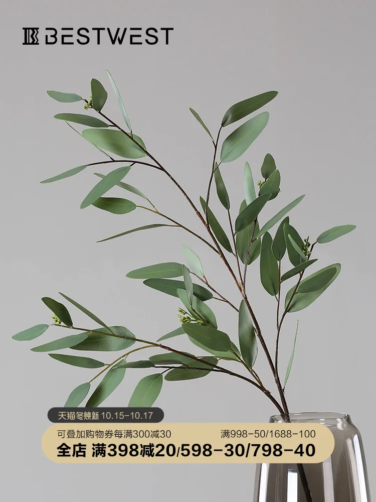 Эвкалипт лист, ручное оформление, искусство, украшение для гостиной, обеденного стола, ваза, цветок, легкое роскошное украшение
Эвкалипт лист, ручное оформление, искусство, украшение для гостиной, обеденного стола, ваза, цветок, легкое роскошное украшение