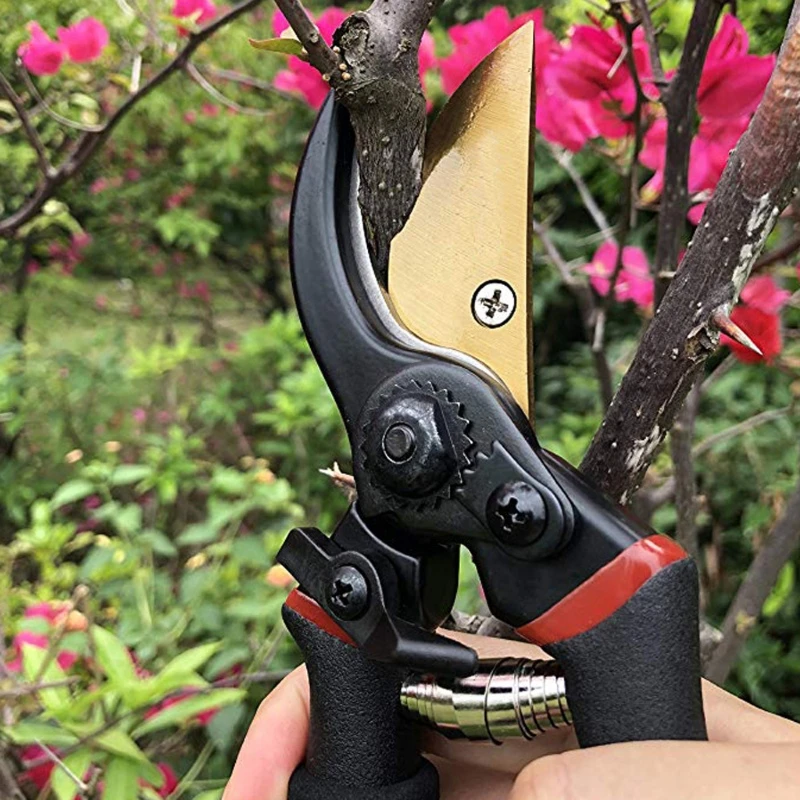 Pruning Shear Garden Tools Garden Clippers Durable Labor Saving Scissors Gardeni
Pruning Shear Garden Tools Garden Clippers Durable Labor Saving Scissors Gardeni