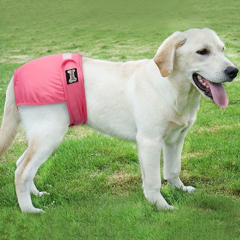 Pet Big Dog Physiological Pants Panties Female Dog Diaper Shorts for Large Dog Female Sanitary Dog Cat Diapers Underwear Briefs 
Pet Big Dog Physiological Pants Panties Female Dog Diaper Shorts for Large Dog Female Sanitary Dog Cat Diapers Underwear Briefs