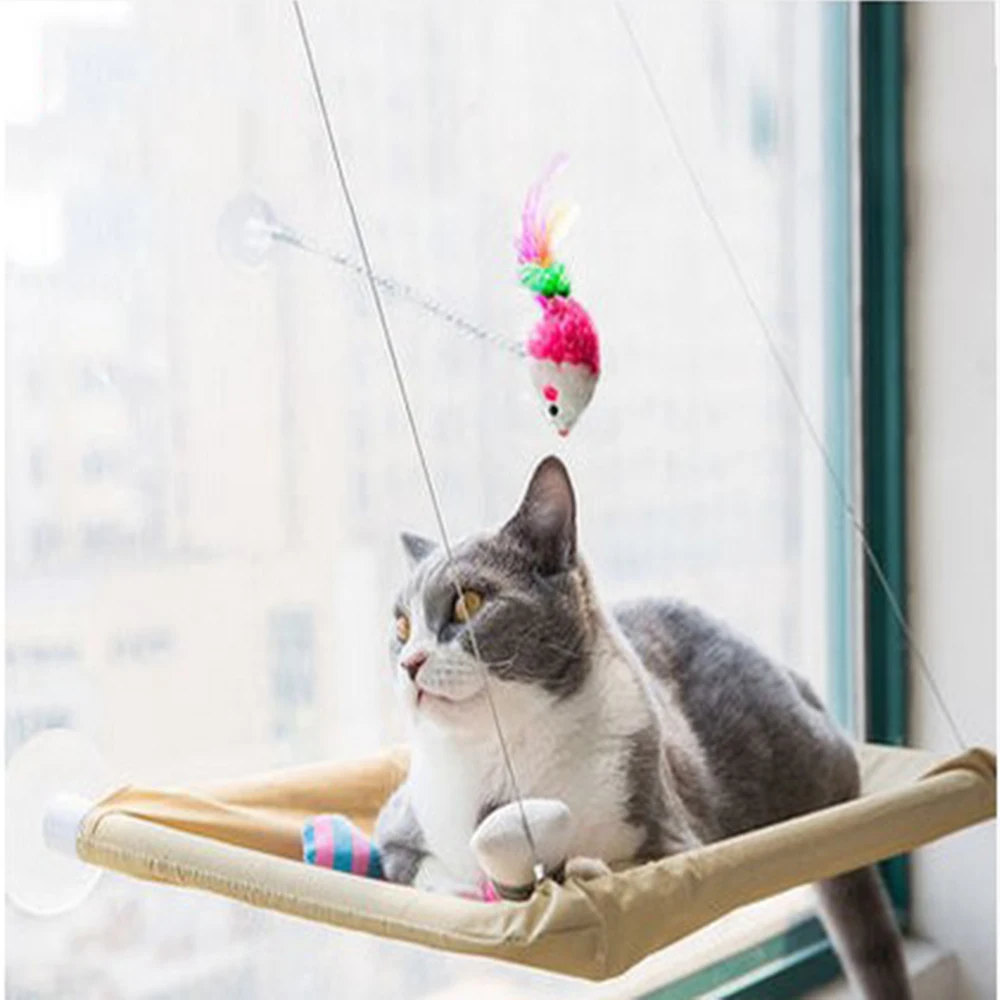Pet Hanging Beds Small Pet Hammock Dog Cat Sunny Window Seat Mount Cat Comfortable Hammock Cat Pet Bed Shelf Seat Beds
Pet Hanging Beds Small Pet Hammock Dog Cat Sunny Window Seat Mount Cat Comfortable Hammock Cat Pet Bed Shelf Seat Beds
