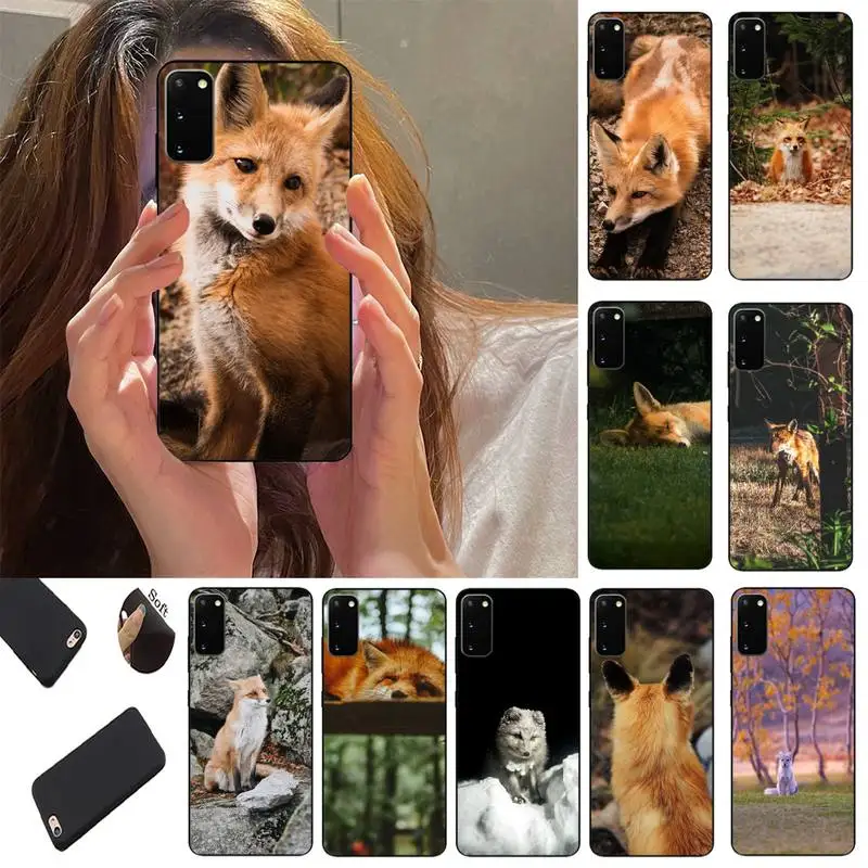 Fox Phone Case Fundas Shell Cover For Samsung S10 S20 Fe Lite S21 S30 ULTRA Plus 5G
Fox Phone Case Fundas Shell Cover For Samsung S10 S20 Fe Lite S21 S30 ULTRA Plus 5G