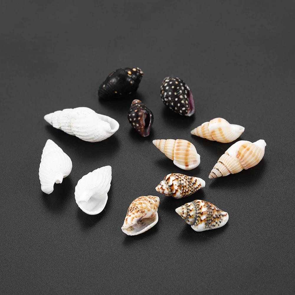 50g/pack Shell Natural Shell Small Conch Creative DIY Handmade Materials Drifting Bottle Shell Epoxy Craft Accessories
50g/pack Shell Natural Shell Small Conch Creative DIY Handmade Materials Drifting Bottle Shell Epoxy Craft Accessories