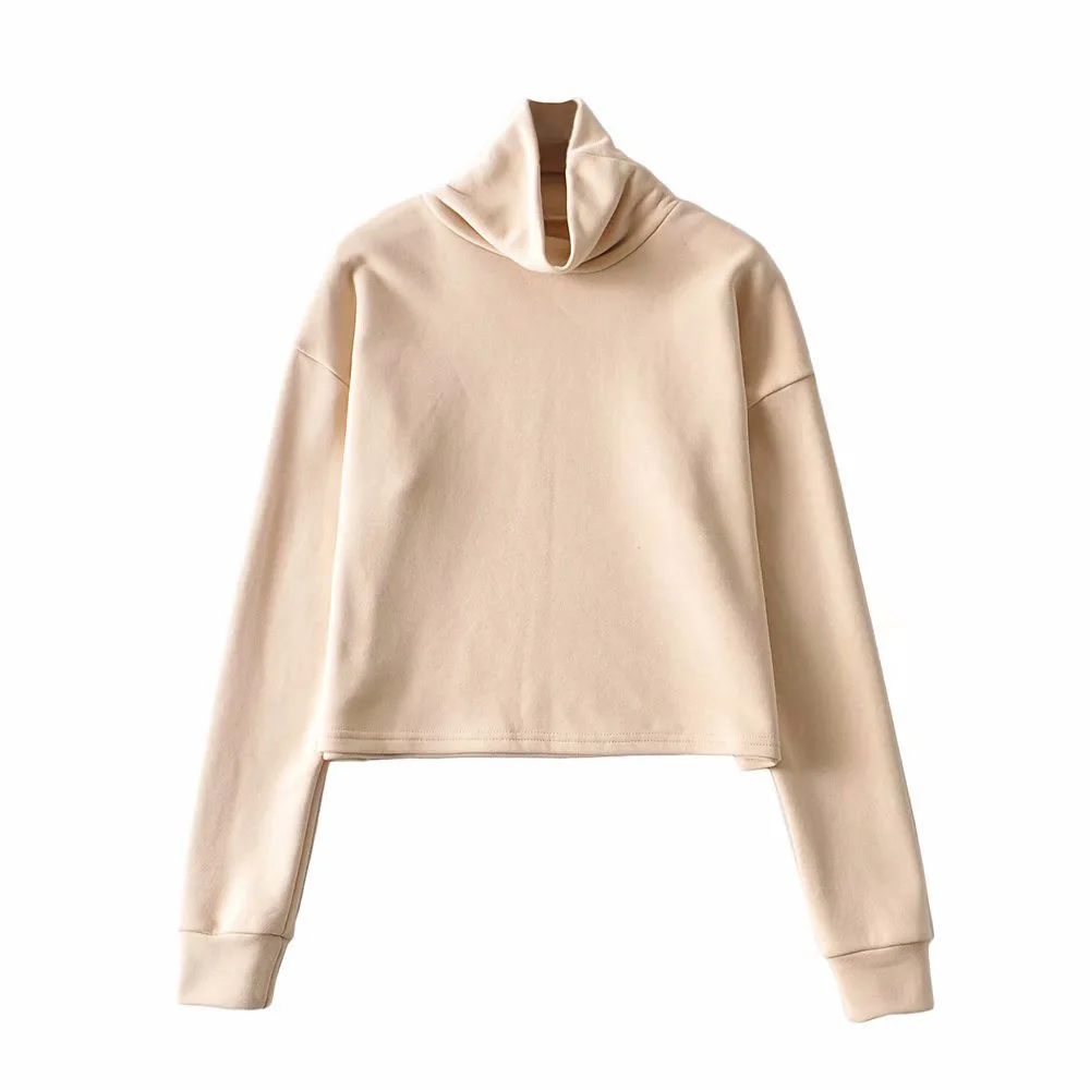 2021 Fashion Casual Solid Streetwear Soft Warm Stylish Women Regular Patchwork Plain Fall Women's Hoodie
2021 Fashion Casual Solid Streetwear Soft Warm Stylish Women Regular Patchwork Plain Fall Women's Hoodie