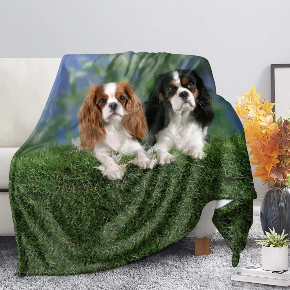 Cavalier King Charles Dog Throw Blanket Fleece Plush Warm Sofa Blankets Quilt Blanket for Adults Kids Room Decoration
Cavalier King Charles Dog Throw Blanket Fleece Plush Warm Sofa Blankets Quilt Blanket for Adults Kids Room Decoration