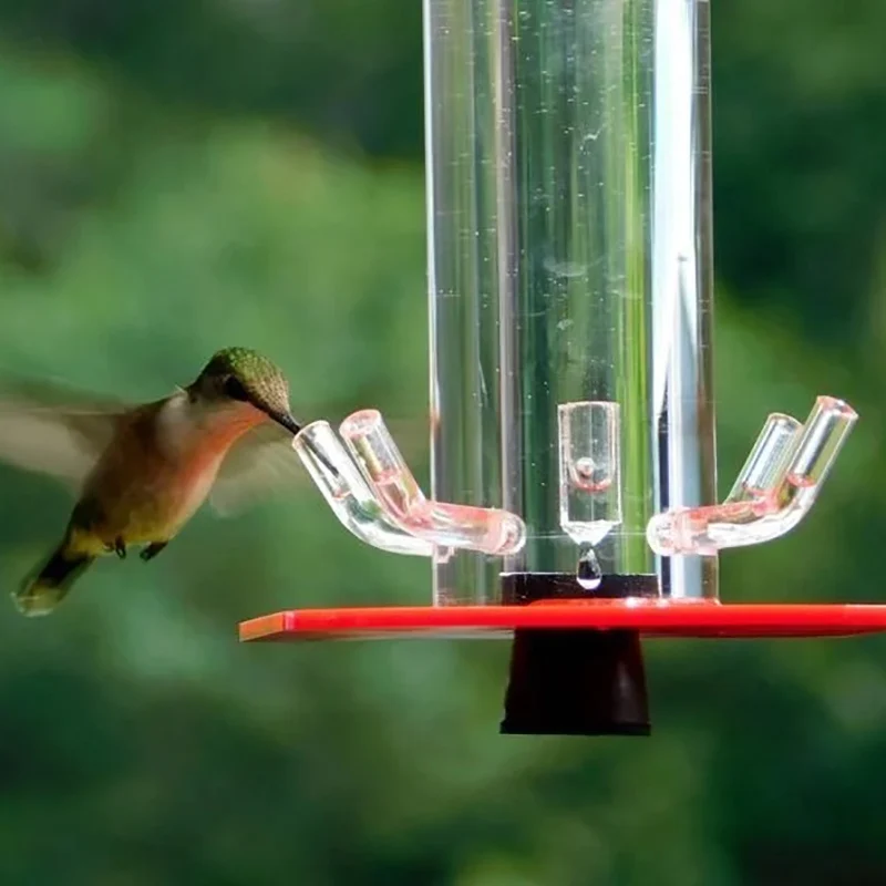 Peter's Hummingbird Feeder for Outdoors with 6 Feeding Ports Hanging Bright Red Transparent Tube Easy to Clean HUG
Peter's Hummingbird Feeder for Outdoors with 6 Feeding Ports Hanging Bright Red Transparent Tube Easy to Clean HUG