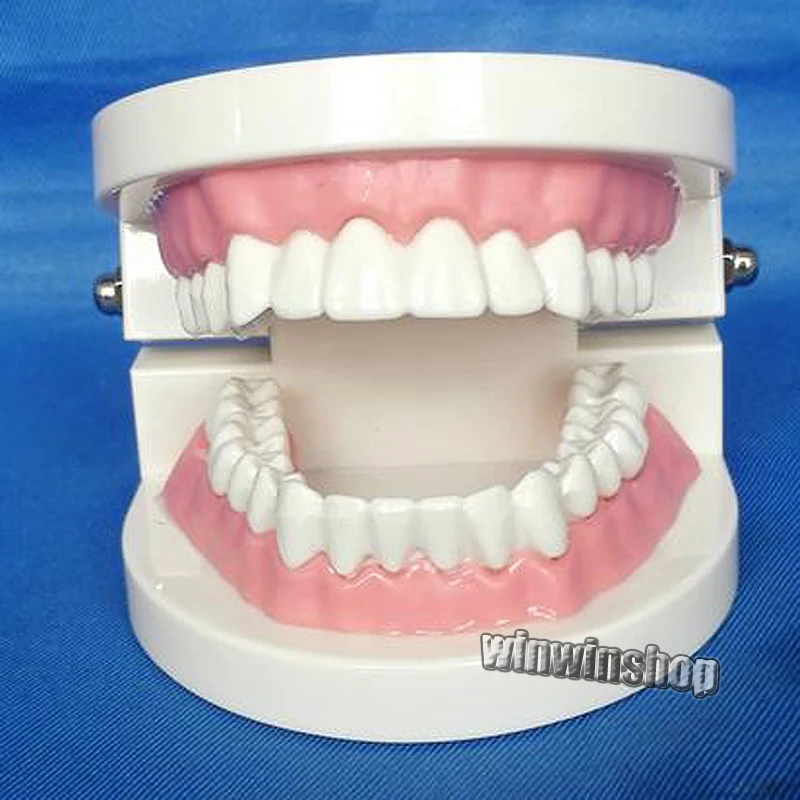 Стандартная модель odontology для обучения стоматологиям детей и взрослых, стоматологическое лабораторное оборудование
Стандартная модель odontology для обучения стоматологиям детей и взрослых, стоматологическое лабораторное оборудование