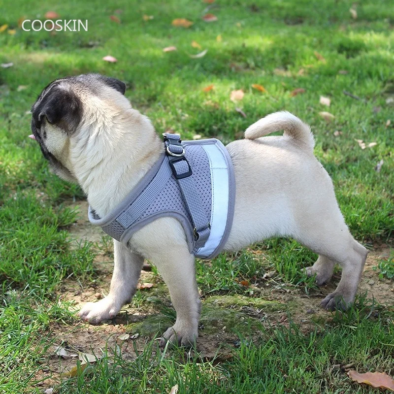 New Style Pet Chest Harness, Pet Clothes, Dog Clothes, Vest-style Dog Leash, Reflective Leash, Dog Harness Leash
New Style Pet Chest Harness, Pet Clothes, Dog Clothes, Vest-style Dog Leash, Reflective Leash, Dog Harness Leash