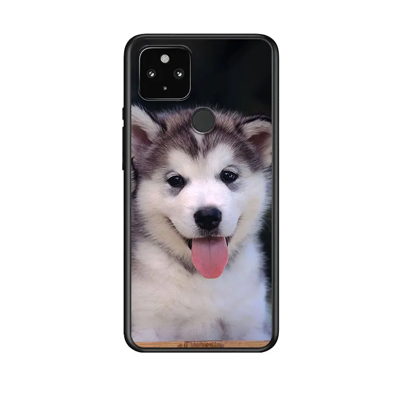Cute Husky Dog for Google Pixel 5 Pixel 4a 5G Pixel 4a Pixel 4 Pixel 4 XL Silicone Soft Black Phone Case Cover
Cute Husky Dog for Google Pixel 5 Pixel 4a 5G Pixel 4a Pixel 4 Pixel 4 XL Silicone Soft Black Phone Case Cover