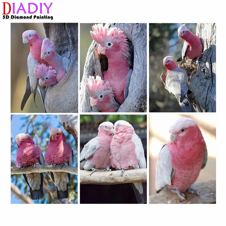 Full Square Diamond Painting Kit Bird Mosaic Parrot DIY 5D Diamond Embroidery Animal Handicraft Home Decor Gift
Full Square Diamond Painting Kit Bird Mosaic Parrot DIY 5D Diamond Embroidery Animal Handicraft Home Decor Gift