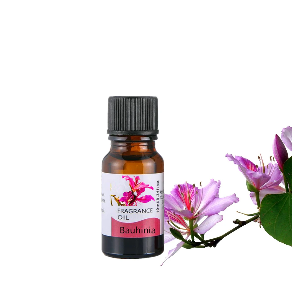 Bauhinia Flower Fruit Essential Oil Aromatherapy Diffusers Essential Oils Humidifier Fragrance Air Freshening TSLM2
Bauhinia Flower Fruit Essential Oil Aromatherapy Diffusers Essential Oils Humidifier Fragrance Air Freshening TSLM2