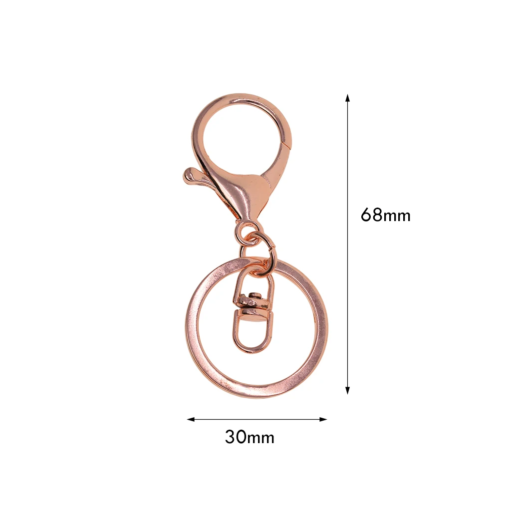 10x Lobster Clasps W/ Split Keyring For Keychain DIY Key Jewelry Making
10x Lobster Clasps W/ Split Keyring For Keychain DIY Key Jewelry Making