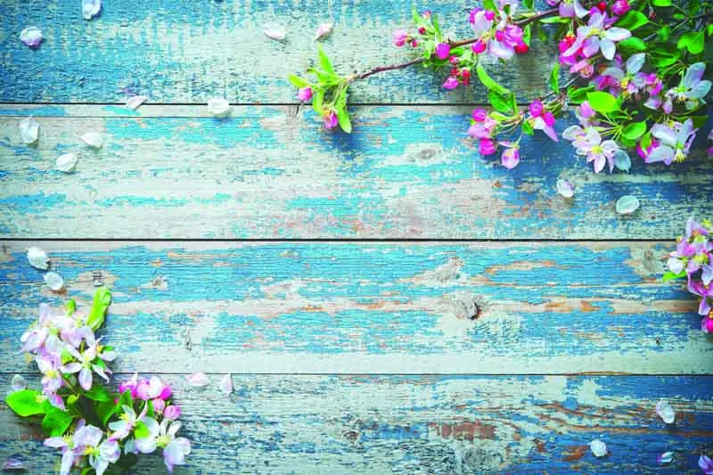 ZHISUXI Vinyl Custom Photography Backdrops Prop Flower Wood Planks Theme Photo Studio Background DRS-03
ZHISUXI Vinyl Custom Photography Backdrops Prop Flower Wood Planks Theme Photo Studio Background DRS-03