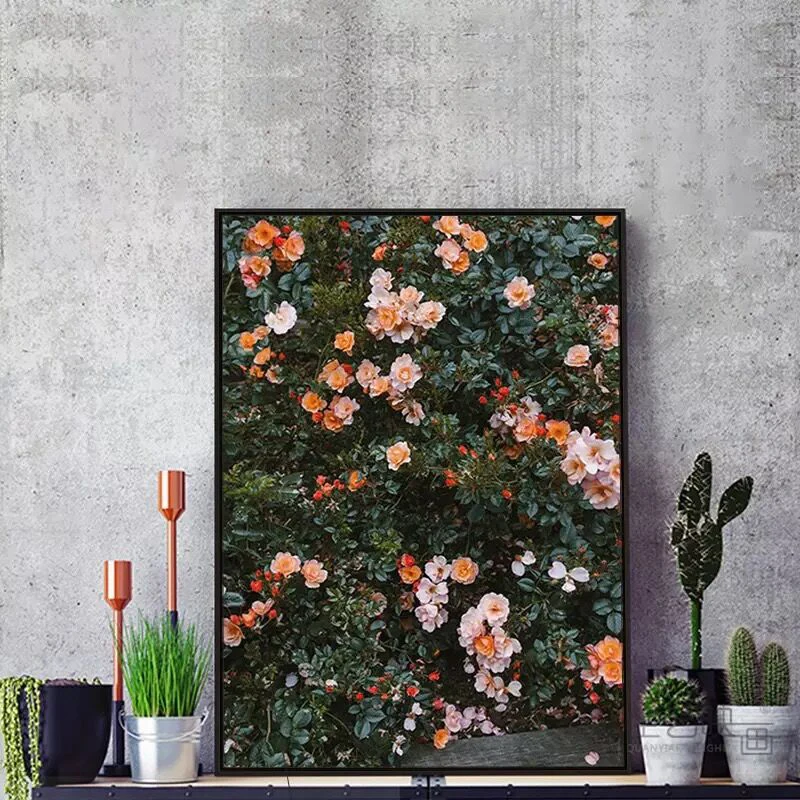 Scandinavian fashion poster rose flower feather nordic style wall art print on canvas modern painting living room decor picture
Scandinavian fashion poster rose flower feather nordic style wall art print on canvas modern painting living room decor picture