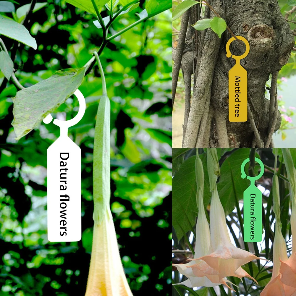 100 PCS Plastic Plant Tags Hanging Labels for Plant Flower Tree Nursery Seedling Tags Mark Garden Decoration
100 PCS Plastic Plant Tags Hanging Labels for Plant Flower Tree Nursery Seedling Tags Mark Garden Decoration