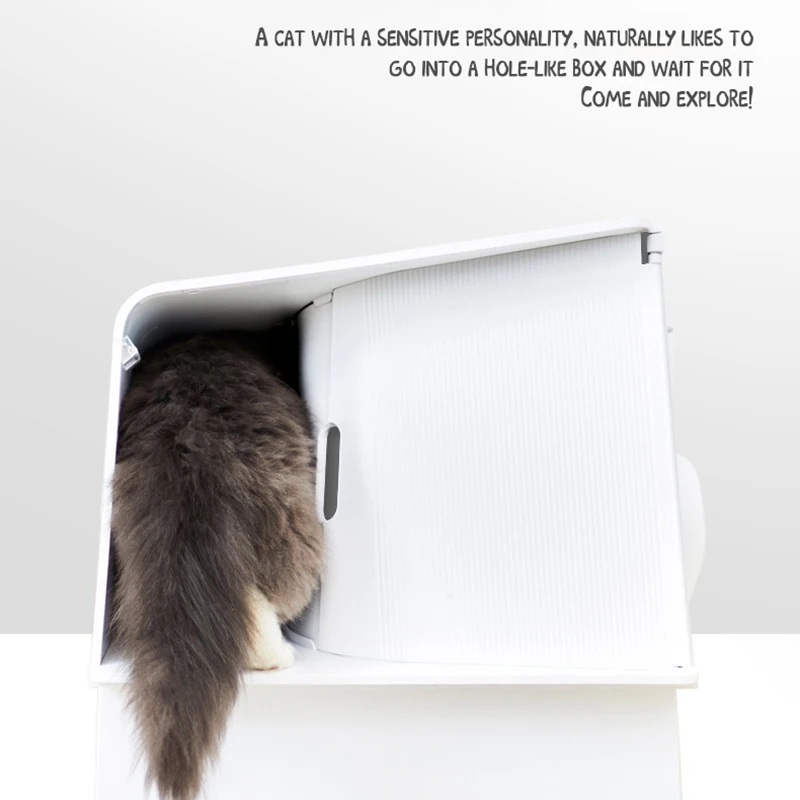 PETKIT Cat Toilet Training Kit Enclosed Cat Litter Box Arenero Gato Sandbox Tray Litter Pan Cat Box Pet Sand Box Litter Tray
PETKIT Cat Toilet Training Kit Enclosed Cat Litter Box Arenero Gato Sandbox Tray Litter Pan Cat Box Pet Sand Box Litter Tray