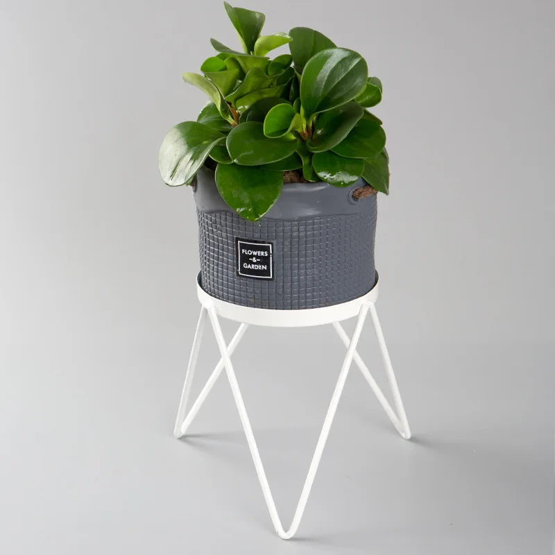 Living Room Bedroom Bar Flower Pot Holder Indoor Floor Single Layer Potted Plant Stand Metal Simple Modern Multifunction WJ923
Living Room Bedroom Bar Flower Pot Holder Indoor Floor Single Layer Potted Plant Stand Metal Simple Modern Multifunction WJ923