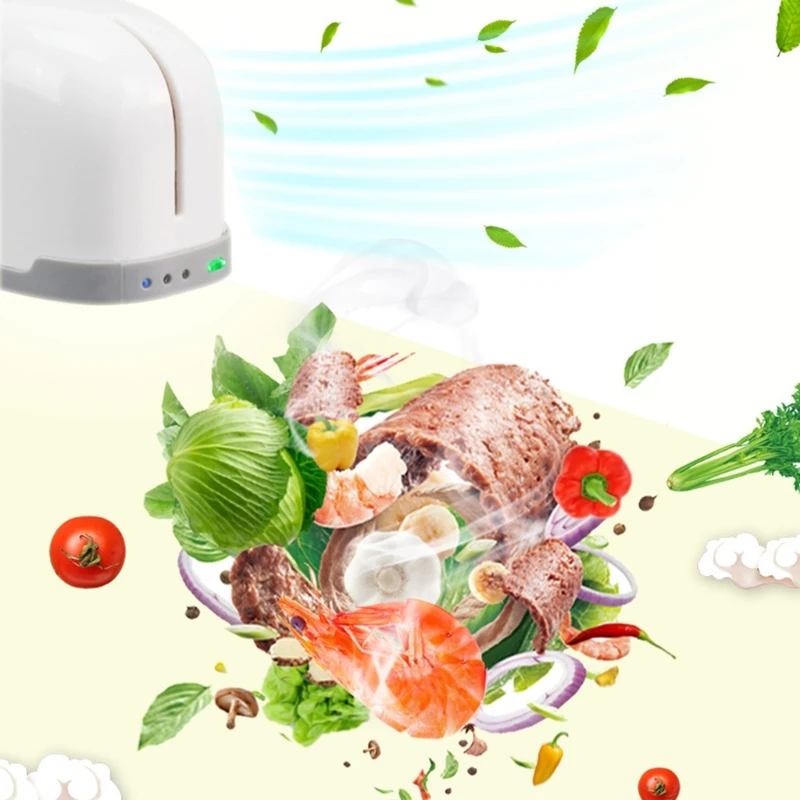 Ozone Air Purifier Fresh Deodorizer Odors Smell Remover Deodorant Sterilizer for Refrigerator Car
Ozone Air Purifier Fresh Deodorizer Odors Smell Remover Deodorant Sterilizer for Refrigerator Car