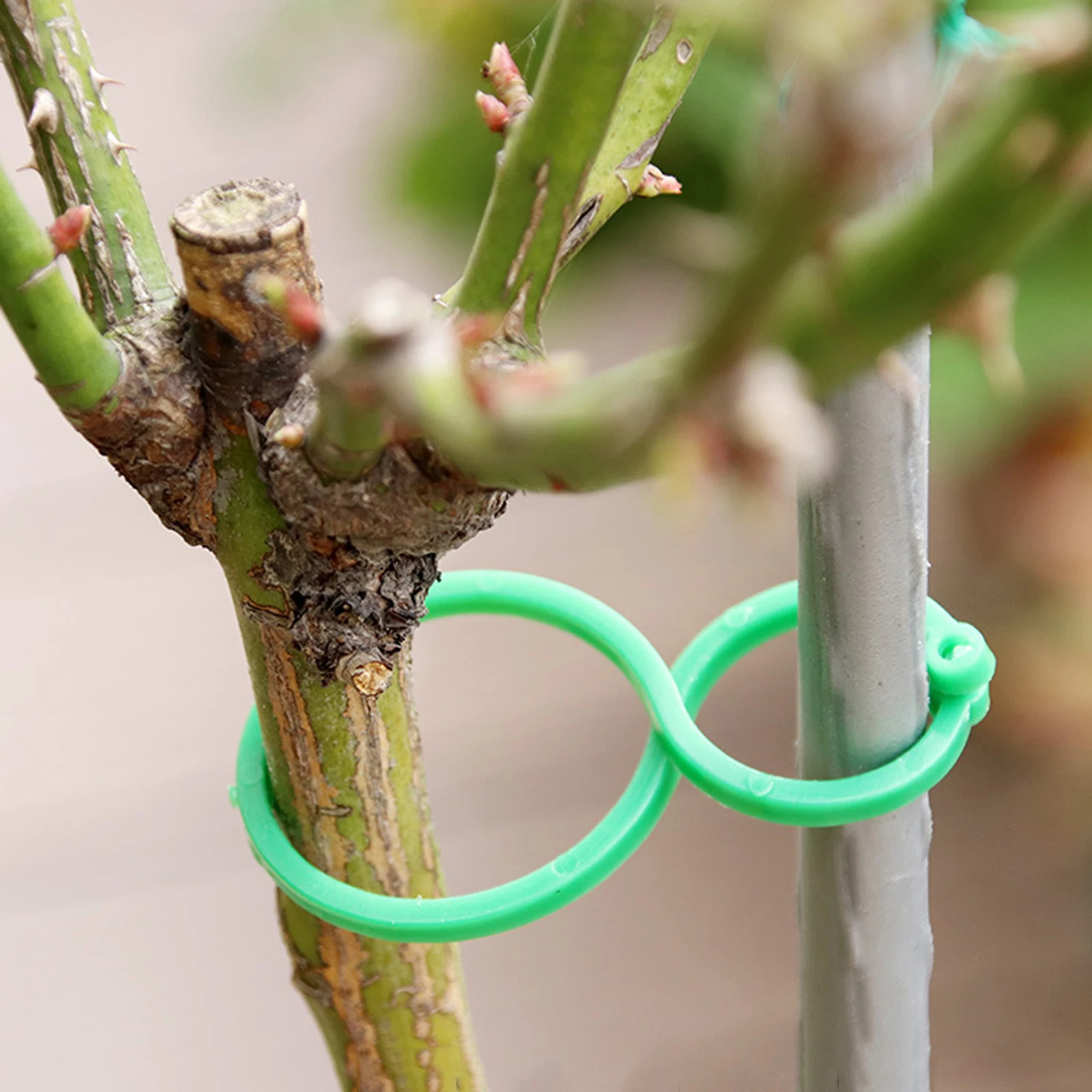 Plastic Plant Support Clips Garden Clips Flower Orchid Stem Clips for Vine Suppor Plant Grafting Stakes Connector Clip
Plastic Plant Support Clips Garden Clips Flower Orchid Stem Clips for Vine Suppor Plant Grafting Stakes Connector Clip