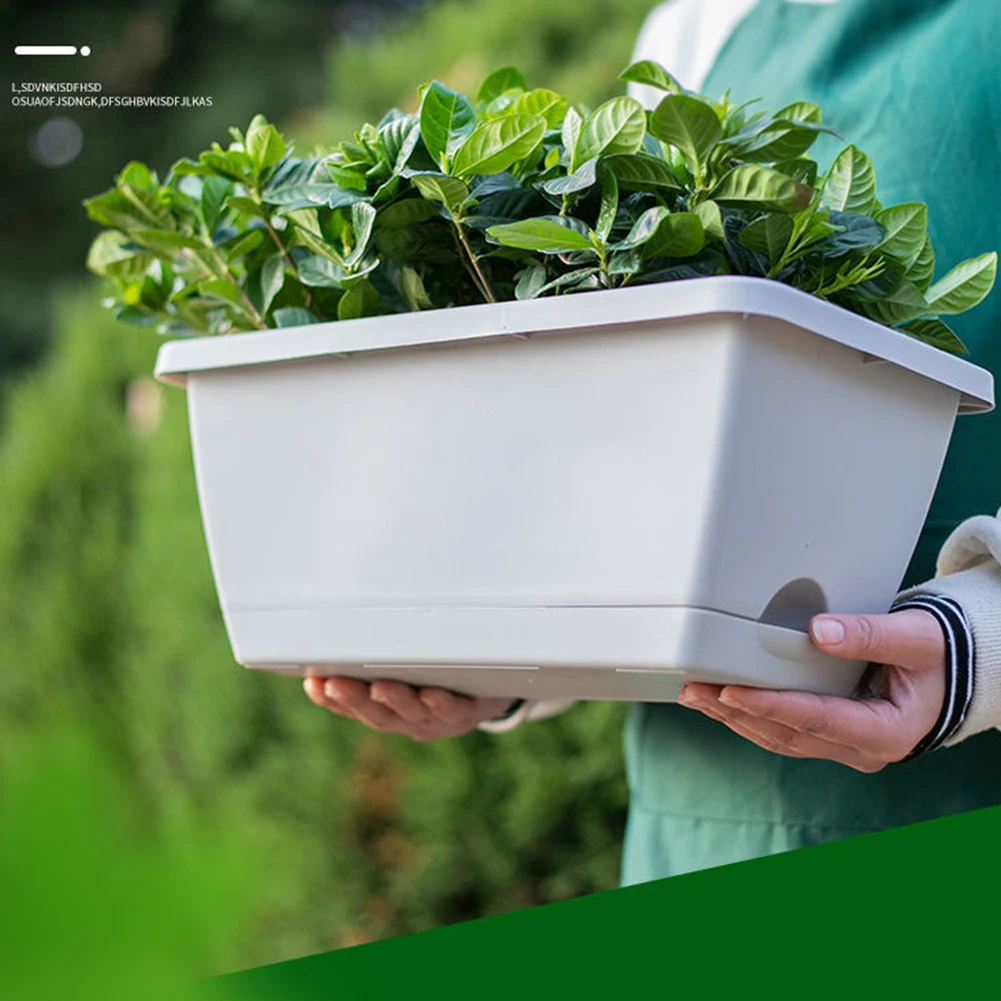 Garden Flower Pot Planters Vegetable Planting Pot Balcony Plastic Large Capacity Accessories Balcony Vegetable Planting Trough
Garden Flower Pot Planters Vegetable Planting Pot Balcony Plastic Large Capacity Accessories Balcony Vegetable Planting Trough