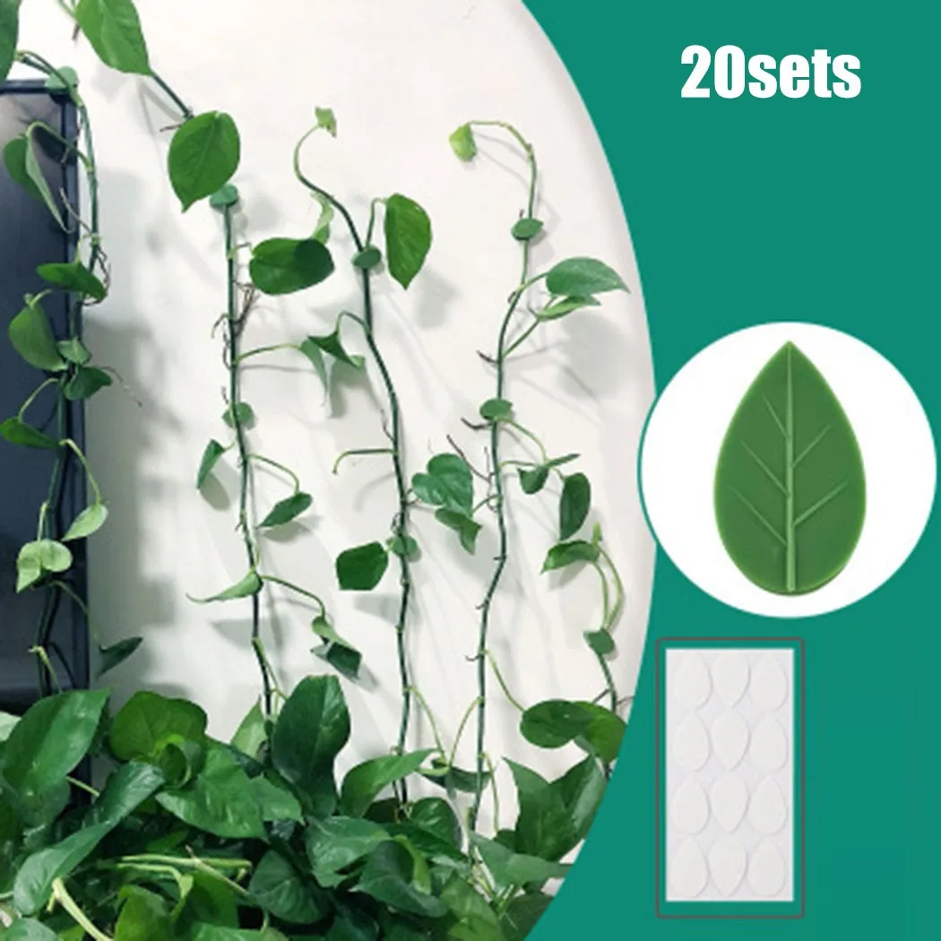20Sets Invisible Fixed Buckle Plant Climbing Wall Fixture Clips Fastener Tied Fixture Vine Traction Holder Buckle Hook
20Sets Invisible Fixed Buckle Plant Climbing Wall Fixture Clips Fastener Tied Fixture Vine Traction Holder Buckle Hook