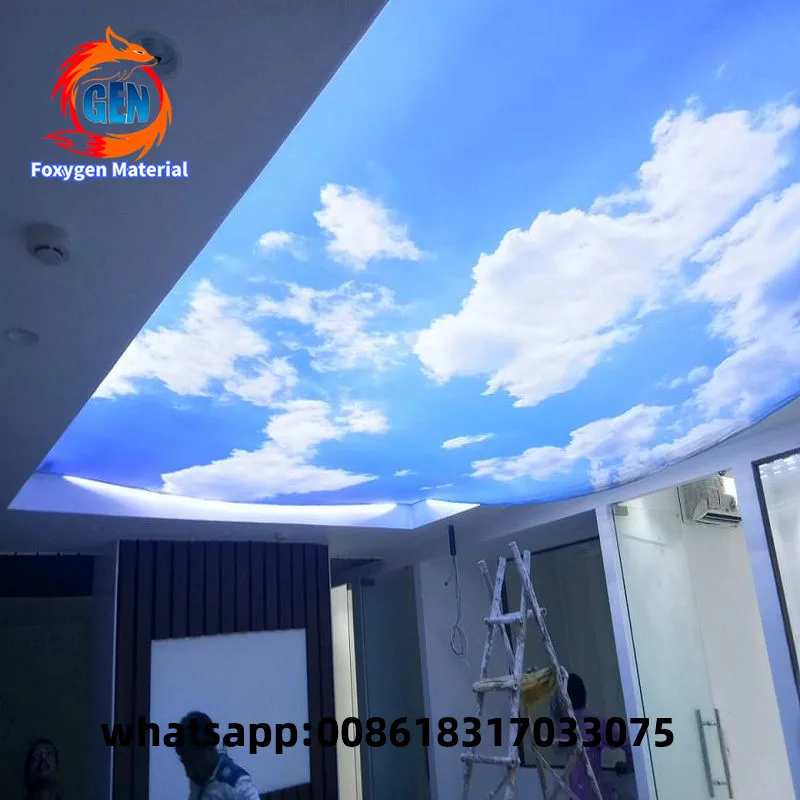 Heat Insulation Function PVC material ceiling new design 3d effect designs stretch ceiling film 
Heat Insulation Function PVC material ceiling new design 3d effect designs stretch ceiling film