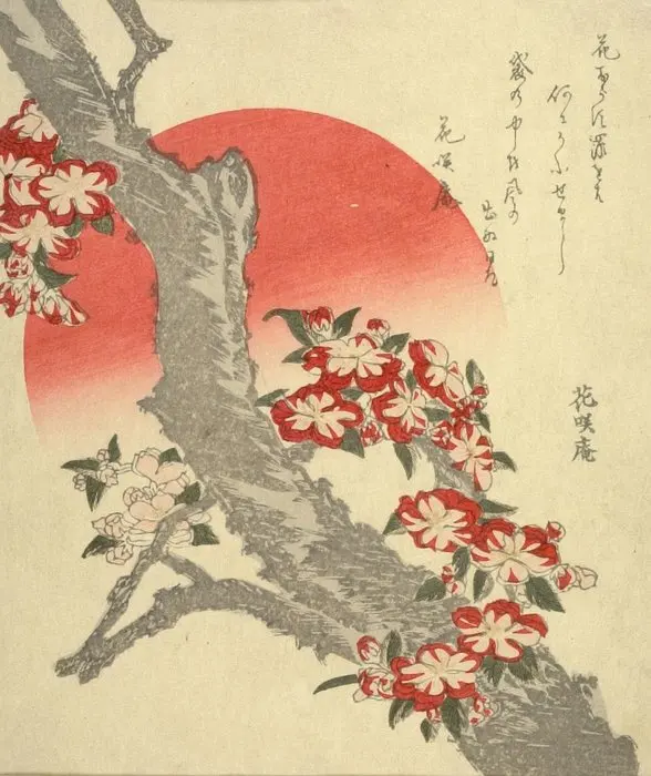 Японский Шелковый постер Katsushika Hokusai с цветами вишни, Настенная декоративная живопись для дома
Японский Шелковый постер Katsushika Hokusai с цветами вишни, Настенная декоративная живопись для дома