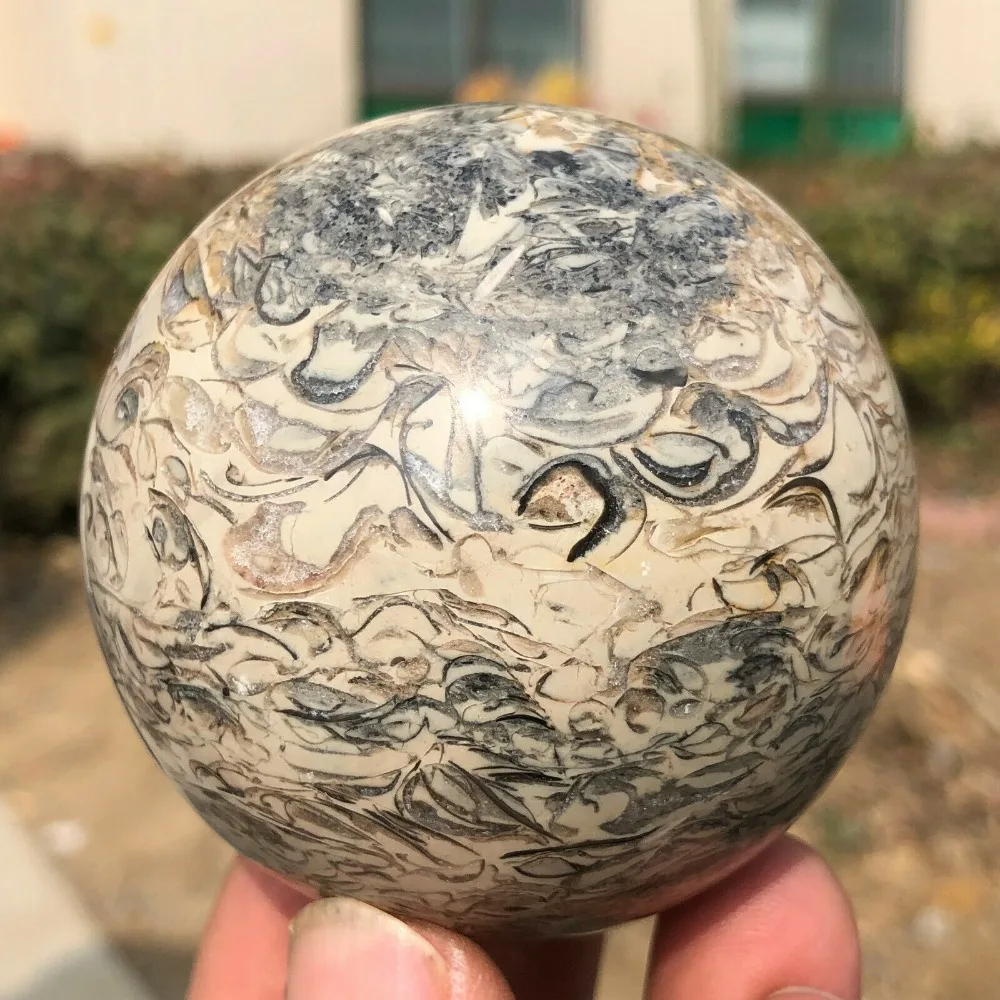 60-80mm Dinosaur Bone Fossil Crystal Ball Sphere Madagascar Healing