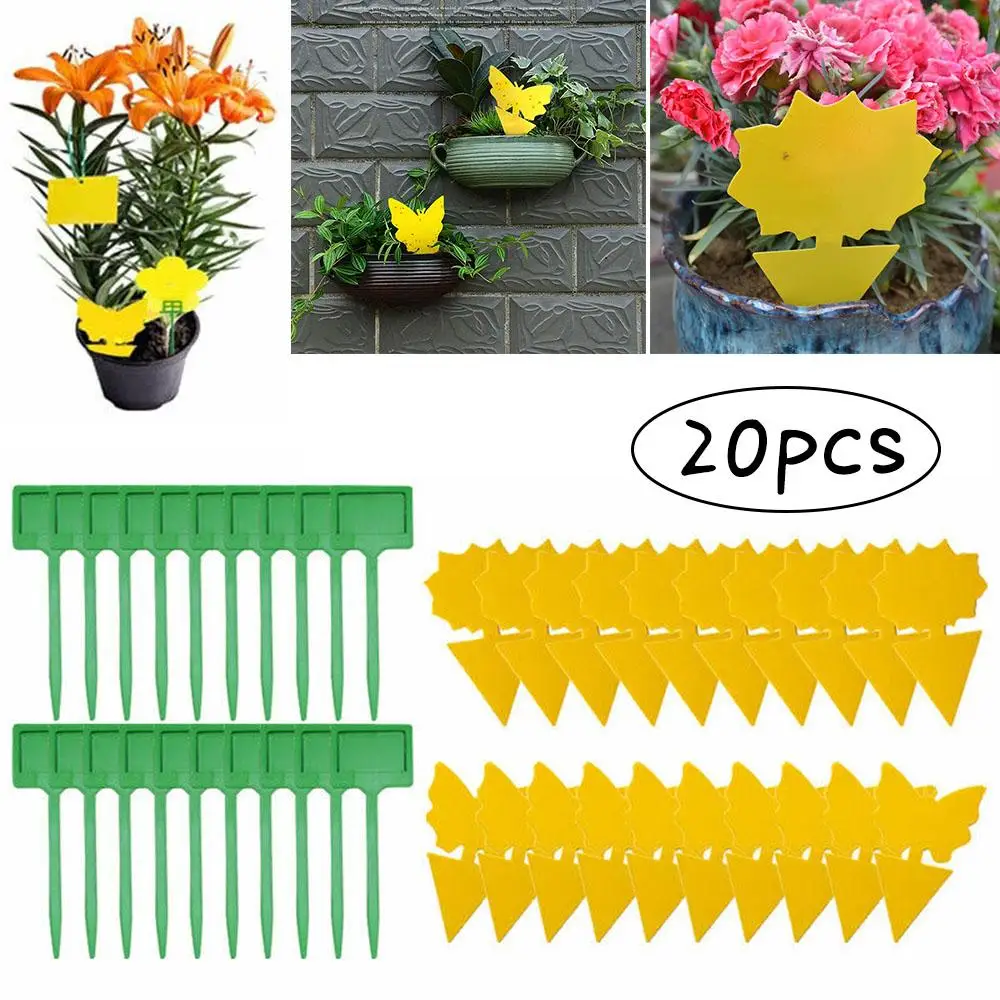 20PCS Sticky Fly Trap Paper Yellow Traps Fruit Flies Insect Glue Catcher Pest Strong Adhesive For Aphids Leaf Miners
20PCS Sticky Fly Trap Paper Yellow Traps Fruit Flies Insect Glue Catcher Pest Strong Adhesive For Aphids Leaf Miners