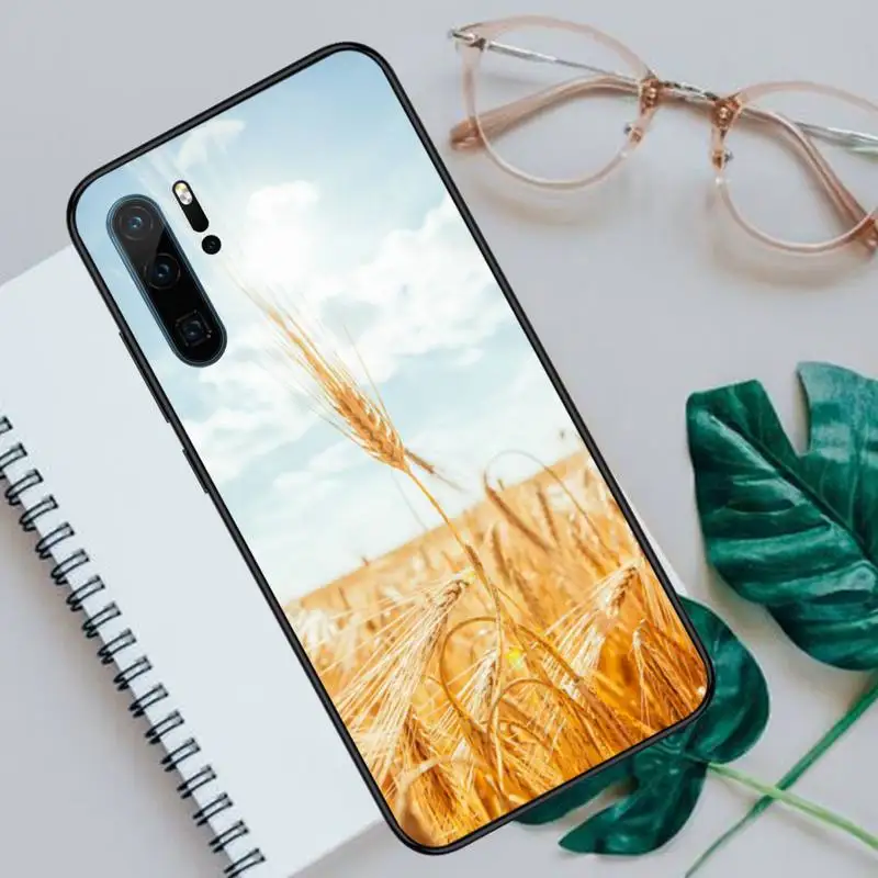 Raw material for bread wheat fashion Phone Case For Huawei honor Mate P 10 20 30 40 Pro 10i 9 10 20 8 x Lite funda coque
Raw material for bread wheat fashion Phone Case For Huawei honor Mate P 10 20 30 40 Pro 10i 9 10 20 8 x Lite funda coque